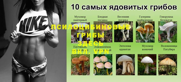 мяу мяу мука Пестово