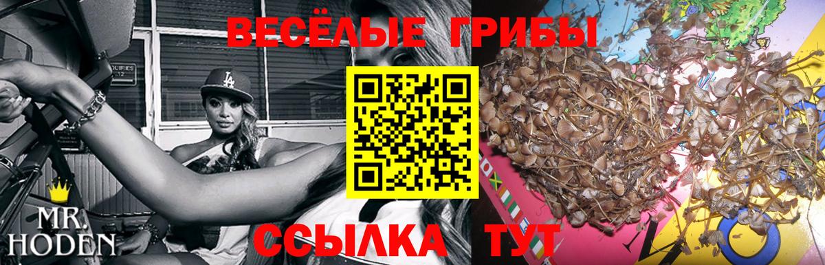 Верхняя Салда  Галлюциногенные грибы мухоморы  Вход с VPN 